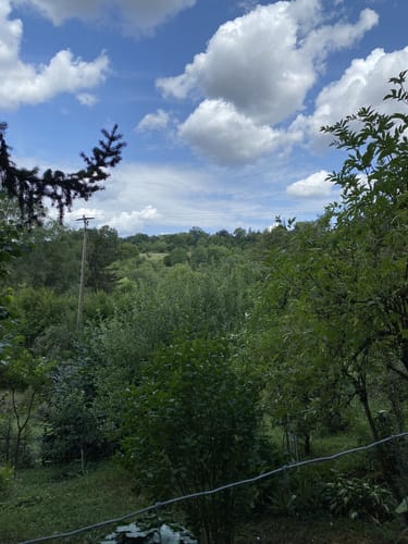 Mutlangen Rundwanderweg 4