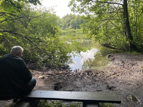 Runde zum Rammsee