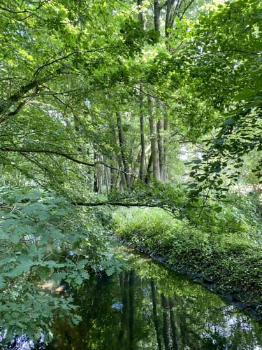 Rund um den Plöner See