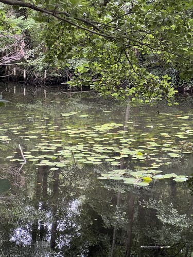 Hohen Neuendorf nach Hennigsdorf