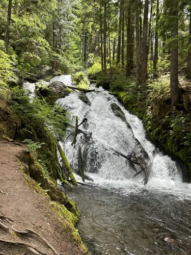 Easy mt hood outlet hikes