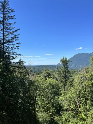 Olallie state park mountain best sale bike trail