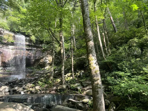 10 Best hard trails in Gatlinburg AllTrails