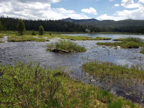 2023 Best 10 Trails and Hikes in Cooke City | AllTrails