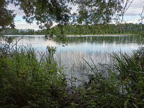 Um den Bergsee Alt Gaarz