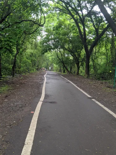 Best Partially Paved Trails in Sanjay Gandhi National Park | AllTrails