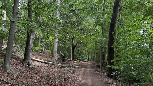 Klein Glienicke entlang des Griebnitzsees