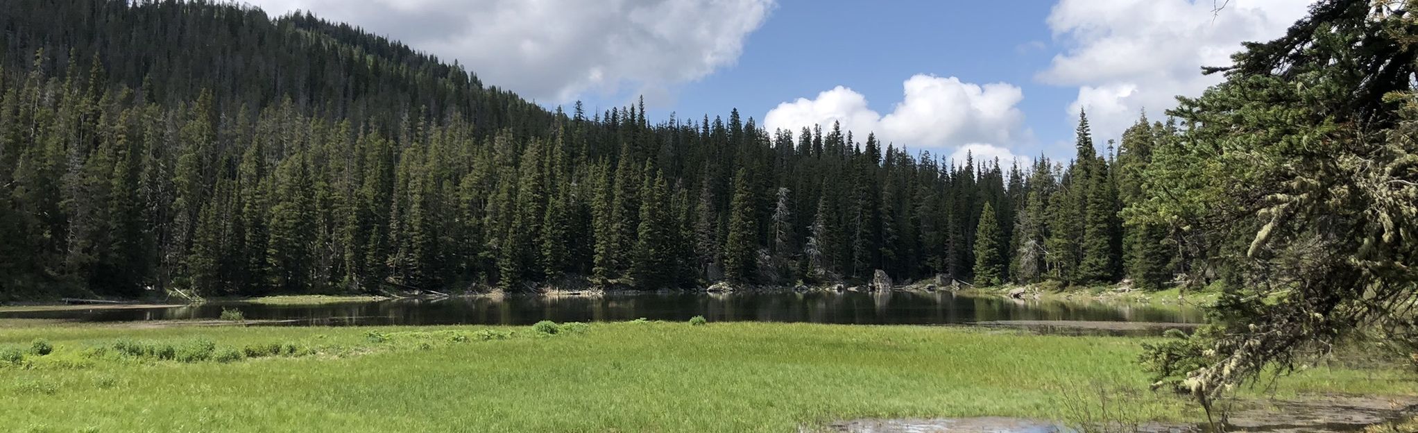 Mount Blackmore via Blackmore Trail, Montana - 324 Reviews, Map | AllTrails