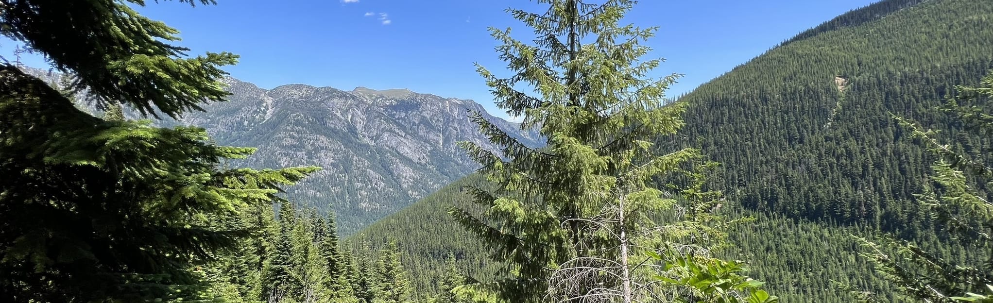 Trout Lake and Jack's Ridge Loop Trail, Washington 29 Reviews, Map