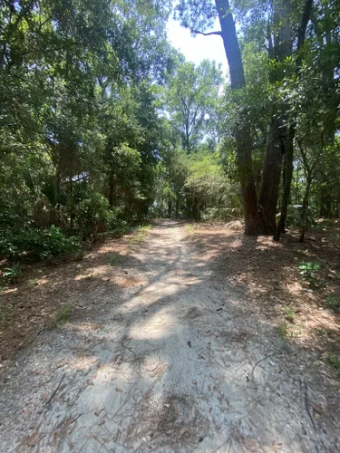 Beste Wandelingen En Routes In Edisto Beach State Park Alltrails