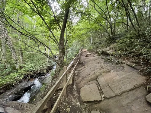 2023 Best Forest Trails in Deep Gap  AllTrails