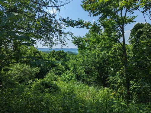 Best Hikes and Trails in Shawnee Lookout County Park | AllTrails