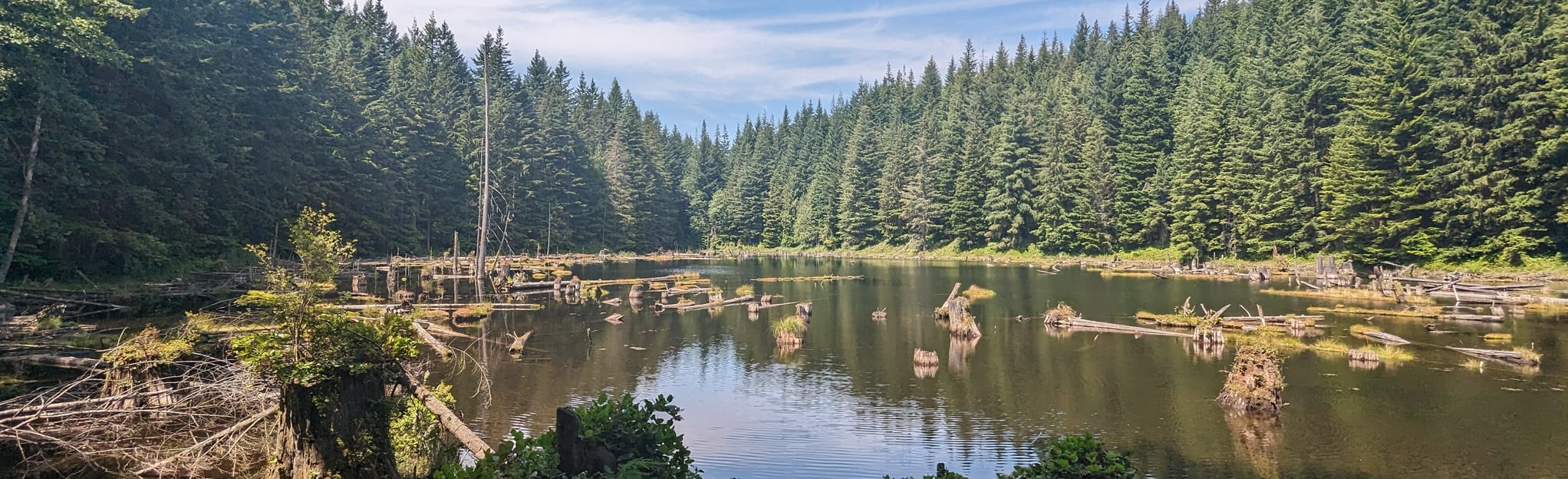 Oyster Dome, North Butte, Lily and Lizard Lake via PNW Trail Loop, 4.710 Fotos Washington