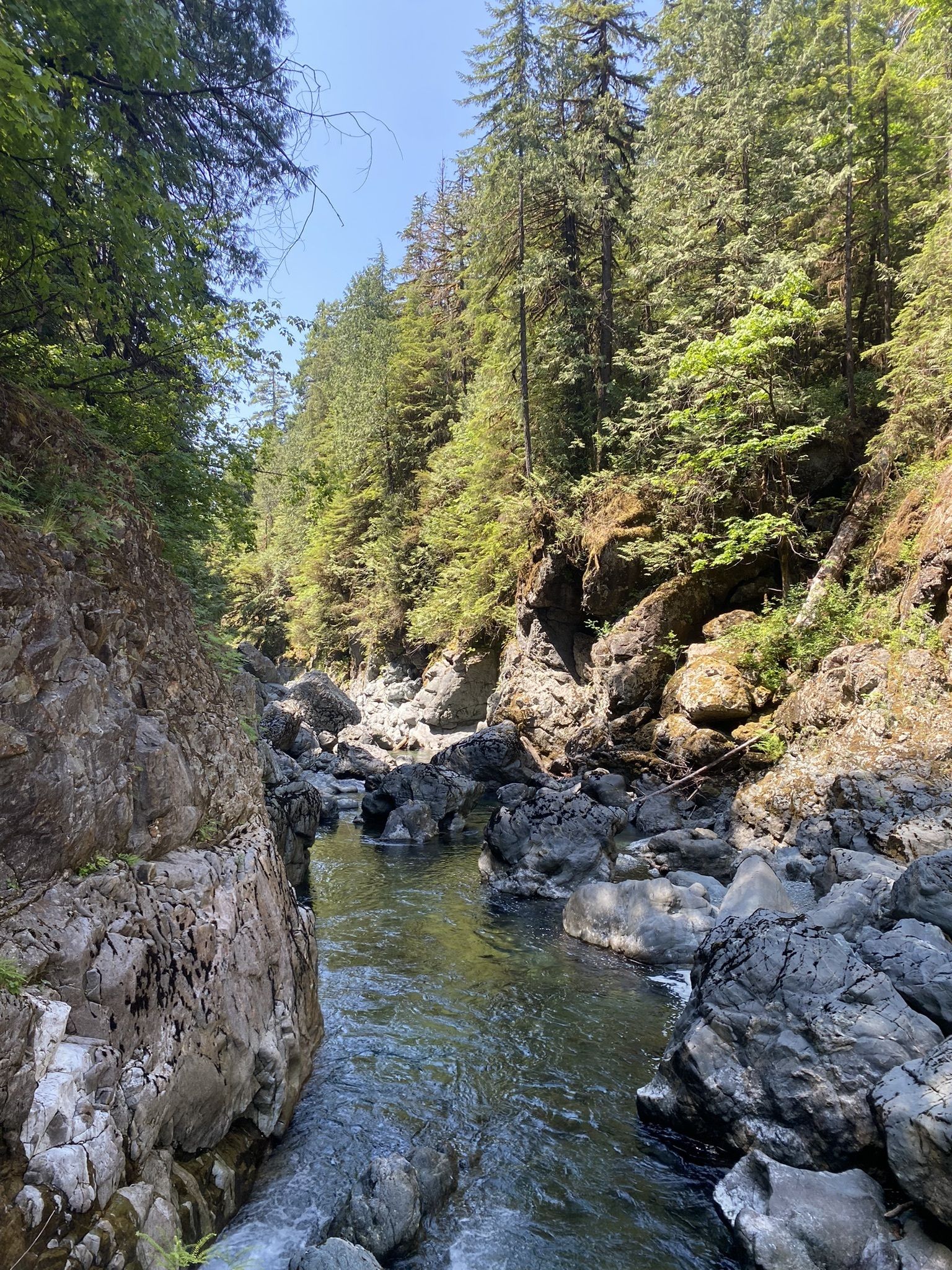 Photos of Nitinat River Provincial Park, British Columbia, Canada trails |  AllTrails