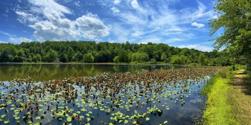 Trout Hike - Middle Patuxent (MD - Murray Hill) - CatchGuide Outdoors