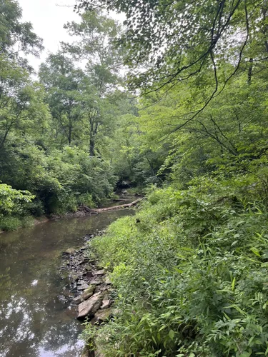 2023 Best 10 Trails and Hikes in Carbondale | AllTrails