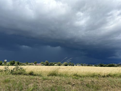 Rund um den Natternberg
