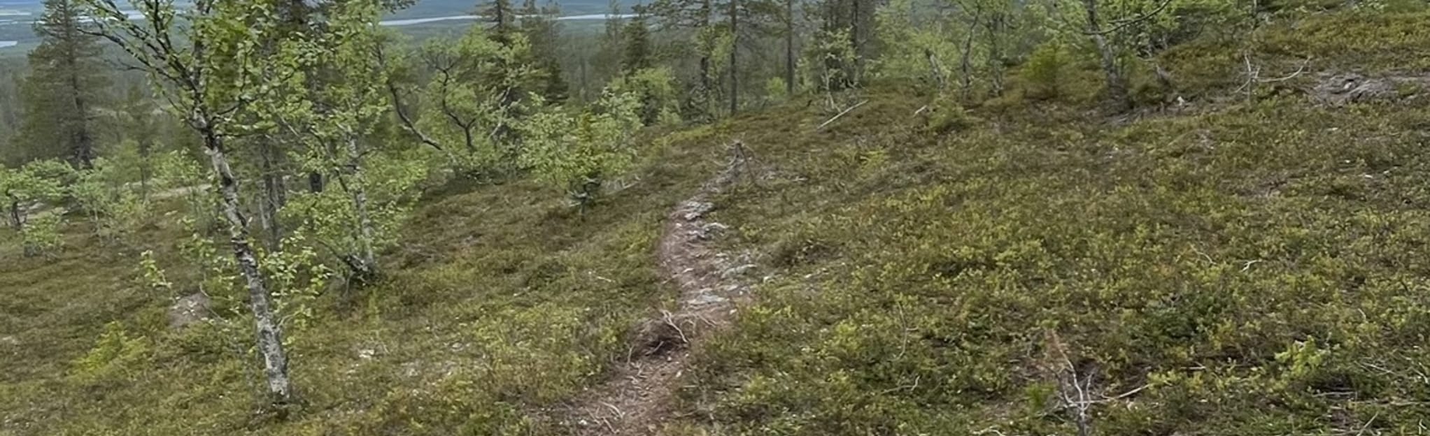 Olos Peak Route, Lapland, Finland - Map, Guide | AllTrails
