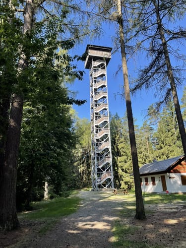 Arzberg Rundweg 3: Diebsteig
