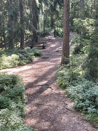 Arzberg Rundweg 3: Diebsteig