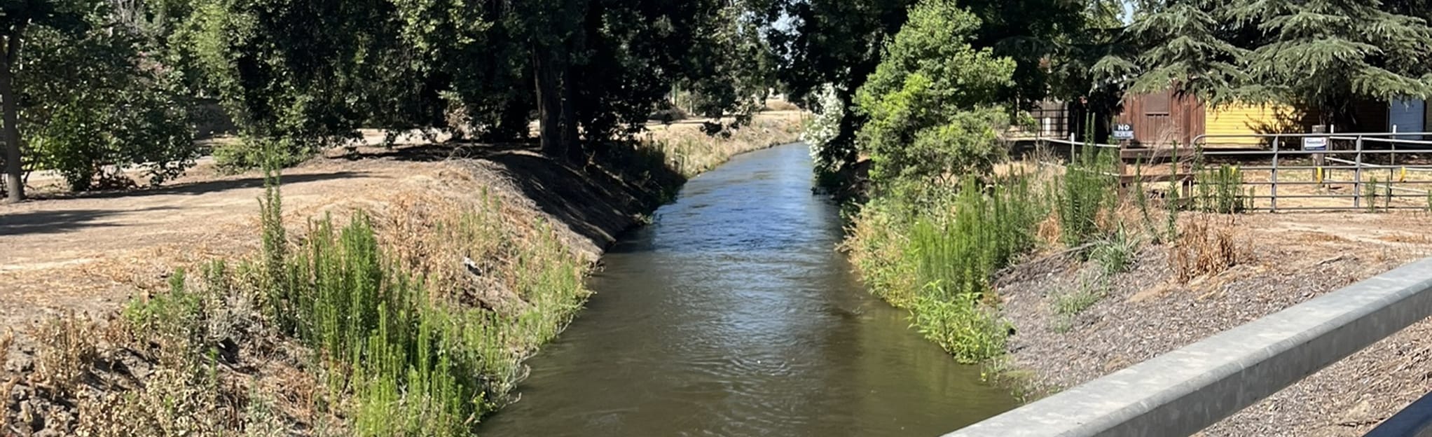 AllTrails Packwood Creek Trail 31 Reviews, Map California