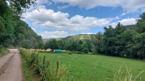 Mosel Radweg Etappe 5: Piesport - Bernkastel-Kues