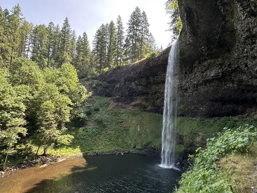 Silver falls state park hiking sale