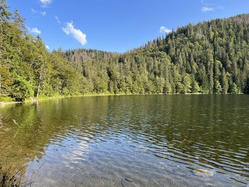 Um den Feldsee