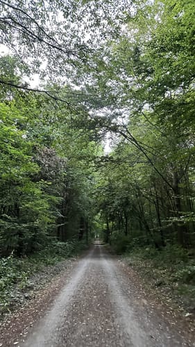 Rundwanderweg Darmstadt Steinbrücker Teich 1: Kahler Berg-Weg
