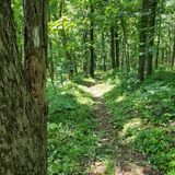 Three Ridges Loop via Appalachian Trail and Mau-Har Trail, Virginia ...