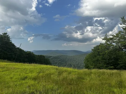 Best Hikes and Trails in Plattekill State Forest | AllTrails