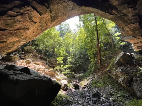 Best Hikes and Trails in Carter Caves State Resort Park | AllTrails