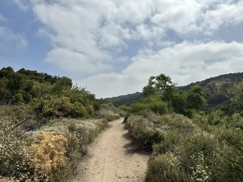 Mountain Bike Trails near Los Angeles