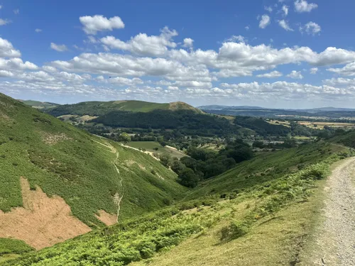 10 Best Bird Watching Trails in Church Stretton