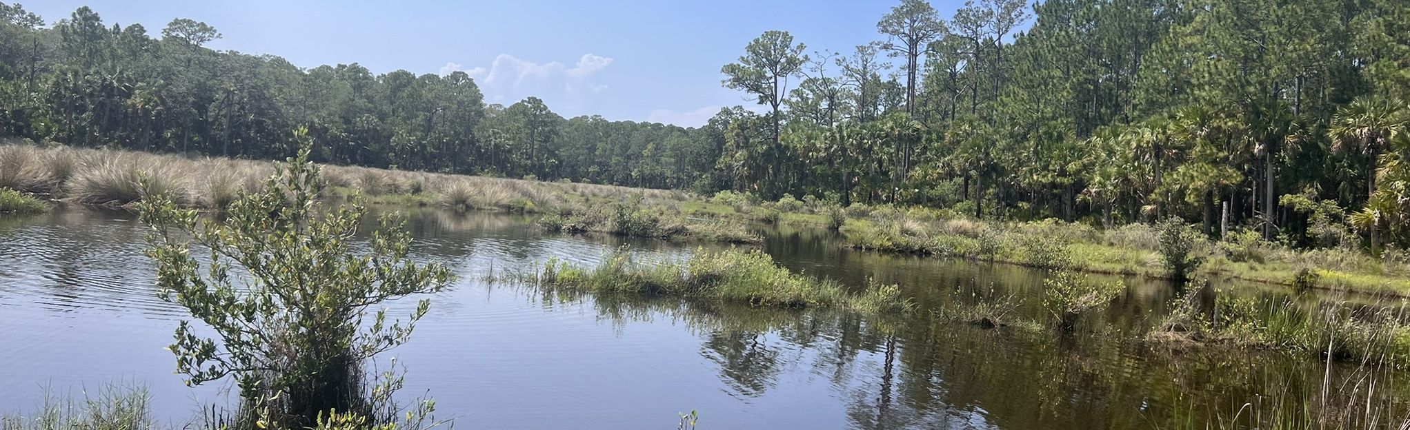 Fairchild Oak Trail, Florida 328 Reviews, Map AllTrails