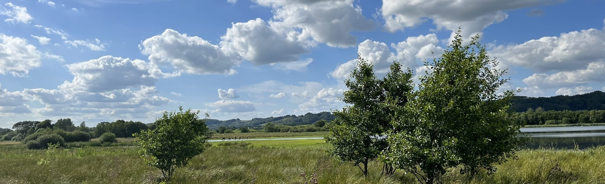 Szlak nad jeziorem Kongens Kær i Knapperup: 171 Zdjęcia – Region of ...