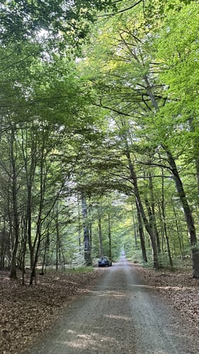 Rundwanderweg Darmstadt Steinbrücker Teich 1: Kahler Berg-Weg