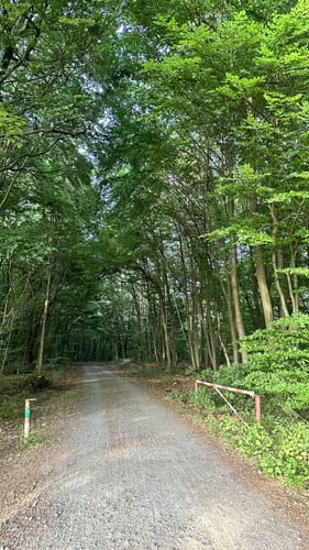 Rundwanderweg Darmstadt Steinbrücker Teich 1: Kahler Berg-Weg