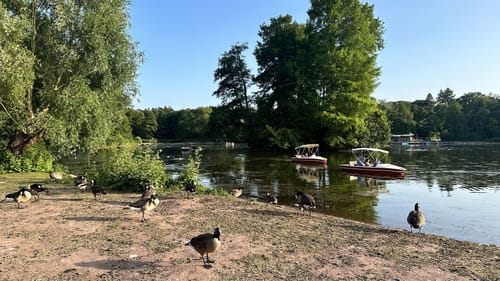 Rundwanderweg Darmstadt Steinbrücker Teich 1: Kahler Berg-Weg