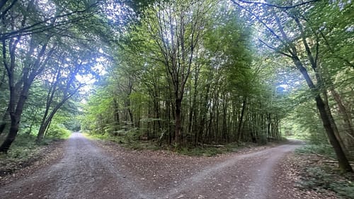 Rundwanderweg Darmstadt Steinbrücker Teich 1: Kahler Berg-Weg