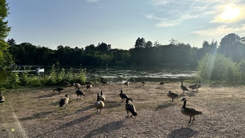 Rundwanderweg Darmstadt Steinbrücker Teich 1: Kahler Berg-Weg