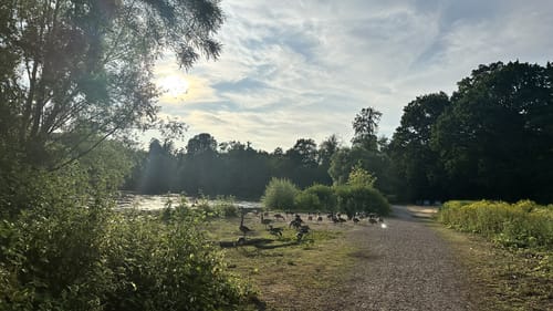 Rundwanderweg Darmstadt Steinbrücker Teich 1: Kahler Berg-Weg