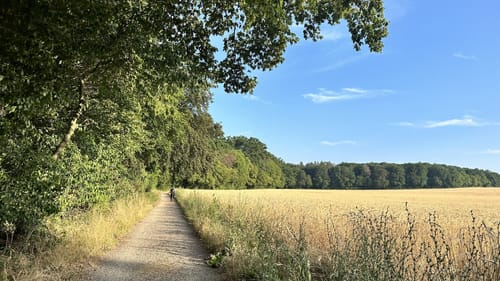 Rundwanderweg Darmstadt Steinbrücker Teich 1: Kahler Berg-Weg