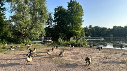 Rundwanderweg Darmstadt Steinbrücker Teich 1: Kahler Berg-Weg
