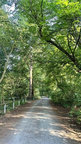 Rundwanderweg Darmstadt Steinbrücker Teich 1: Kahler Berg-Weg
