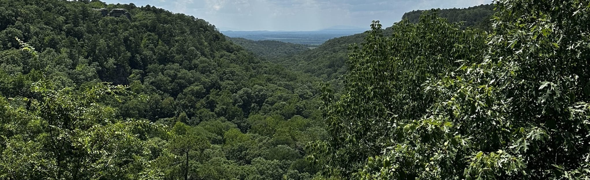 Winthrop P. Rockefeller Boy Scout Trail, Arkansas 449 Reviews, Map