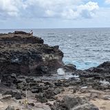 Nakalele Blowhole Trail, Maui, Hawaii - 1,220 Reviews, Map | AllTrails