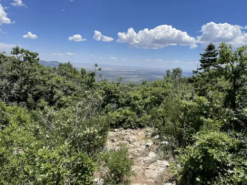 Best Long Trails in Elena Gallegos Picnic Area/Albert G. Simms Park ...