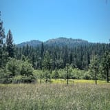 Wawona meadow loop sales