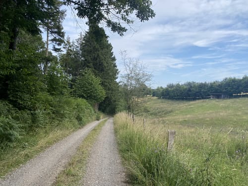 Strauch und Steckenborn Rundweg